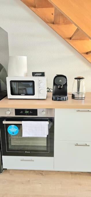 T3 Duplex Thonon Centre - Parking - Gare - Thermes Thonon-les-Bains Exterior foto